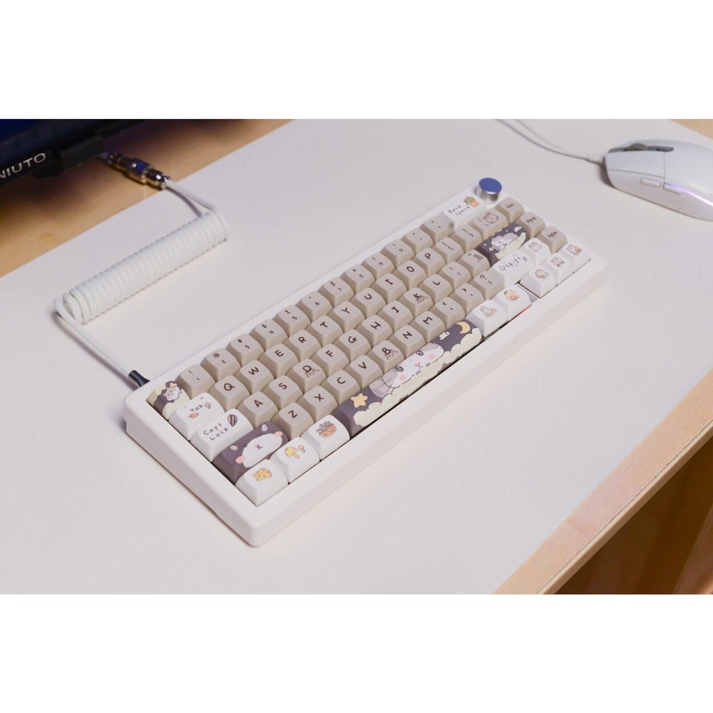 Custom modded mechanical keyboard GMK67 Lubed thocky hot-swap RGB Mouse Themed